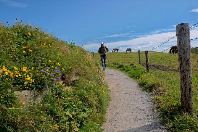 2-Day Wild Atlantic Way Tour From Dublin - Adare and the Golden Vale Drive Back Toward Dublin