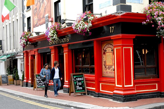 2 Hour Walking Tour of Dublin's City Centre - Bank of Ireland and St Stephen’s Green: politics and a park with a Guinness link
