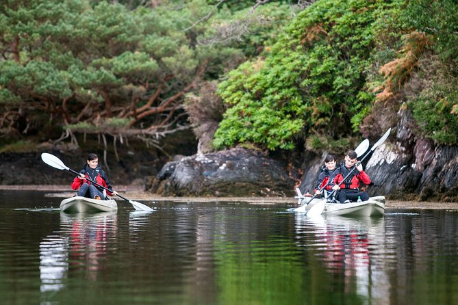 Beautiful Southwest Tour 2022 - Day 3 into Beara and Bantry Bay: Franciscan friary, Garnish Island, and the calm of the water