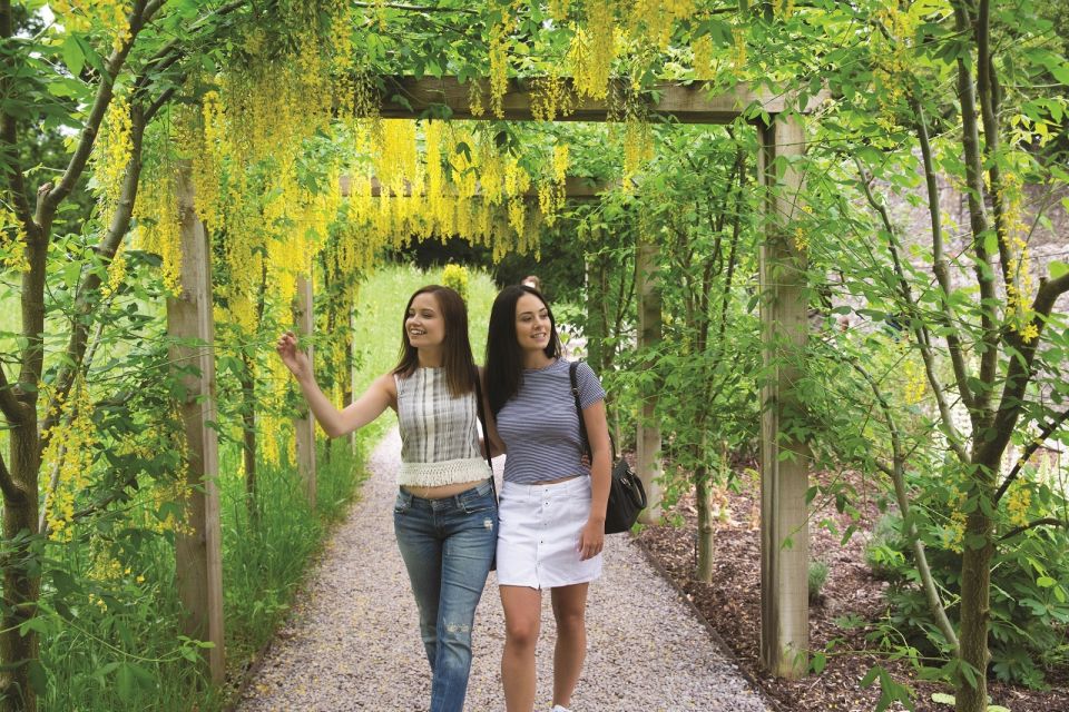 Blarney Castle Full-Day Tour from Dublin - The Drive Out of Dublin: Golden Vale Views and a Real Map of the Region