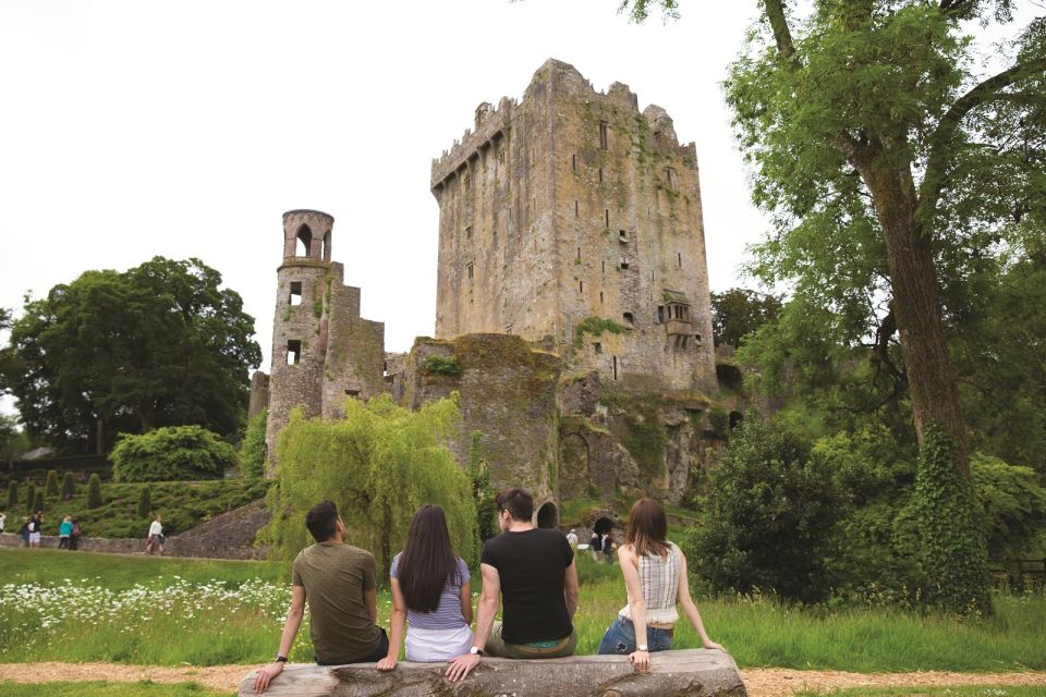 Blarney Castle Full-Day Tour from Dublin - Rock of Cashel: The Fast, Powerful Castle Stop
