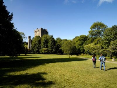 Blarney Castle Full-Day Tour from Dublin - Cork on Your Own: English Market Time and St. Finbarre’s Cathedral