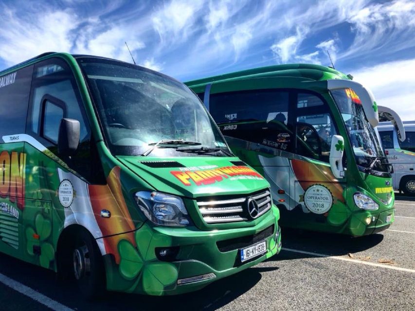 Blarney Castle Full-Day Tour from Dublin - Blarney Woollen Mills Shopping: Tax-Free Souvenirs Without the Stress