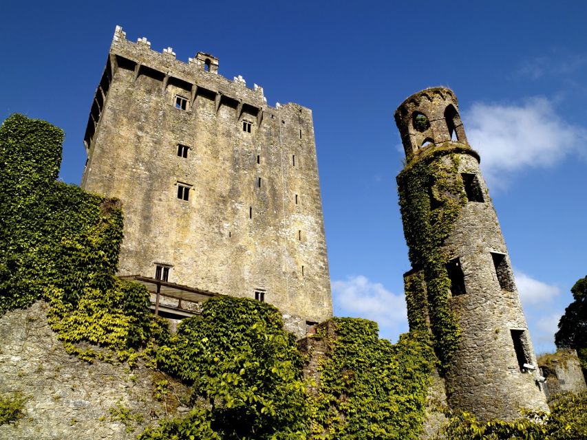 Blarney Castle Full-Day Tour from Dublin - Price and Value: Why $90 Can Work for the Right Traveler