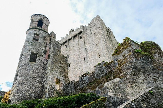 Blarney, Rock of Cashel & Cahir Castles Day Tour From Dublin - Who this tour suits best (and who should skip it)
