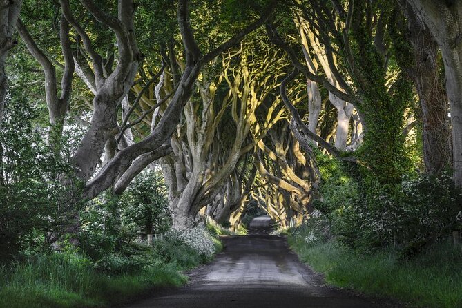 Chauffeur Giants Causeway & Belfast Private Day Tour From Dublin - Key highlights worth your attention