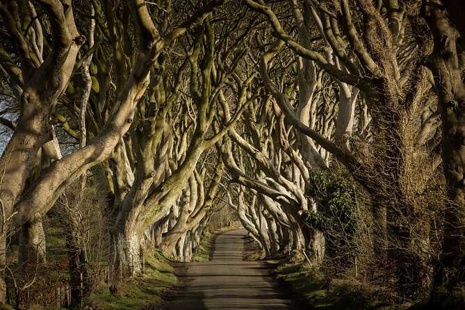 Chauffeur Giants Causeway & Belfast Private Day Tour From Dublin - Ballintoy and lunch timing: a meal break that sets up the walk later