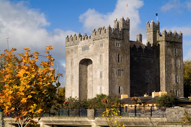 Chauffeur Private Cliffs of Moher Day tour from Dublin - Cliffs of Moher: Your 90 Minutes on the Edge