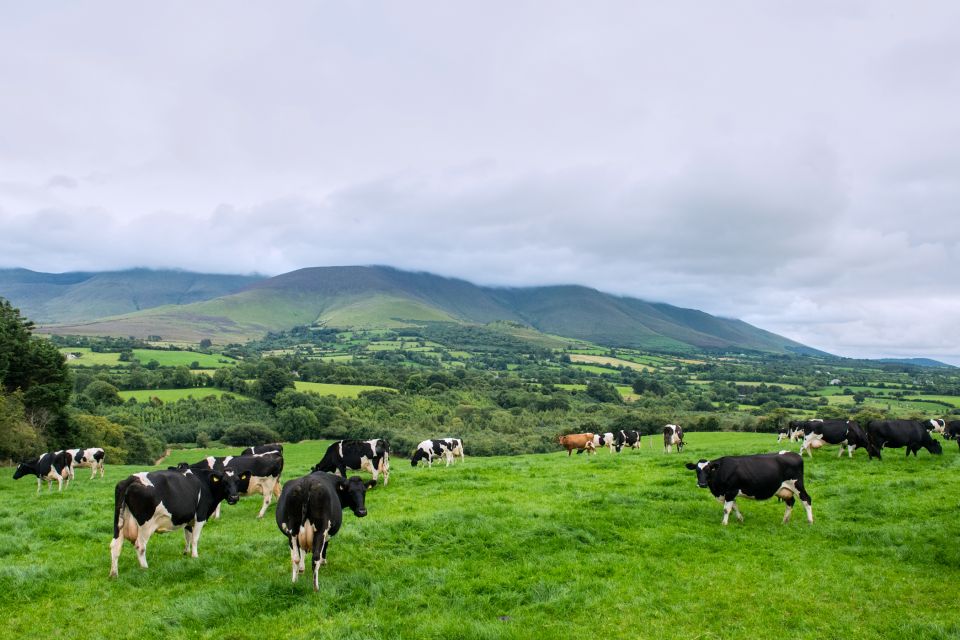 Cliffs of Moher and Blarney 2-Day Tour from Dublin - Key highlights worth your attention
