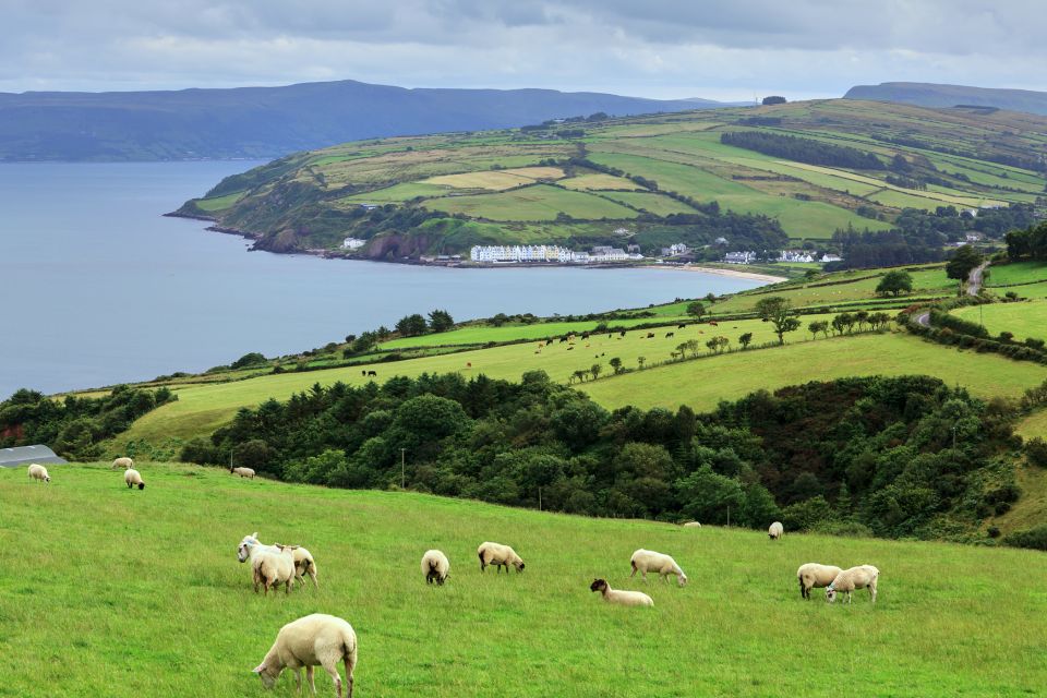 Cliffs of Moher and Blarney 2-Day Tour from Dublin - En Route Back to Dublin: Beaches, Bunratty Photo Time, Then Home