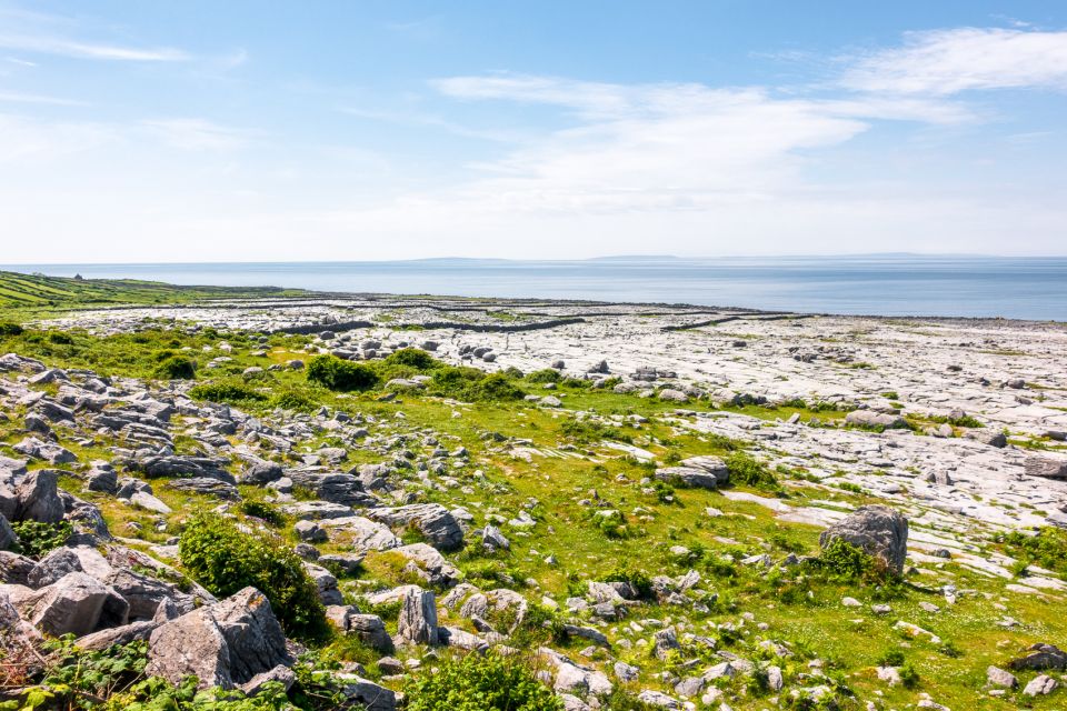 Cliffs of Moher Full-Day Tour from Dublin - Practical tips that make the day smoother