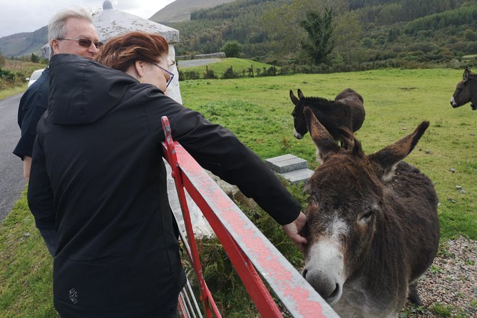 Cliffs of Moher & Galway Bay private tour or Galway city day trip - A Private West Coast Day from Dublin: What You’re Really Buying