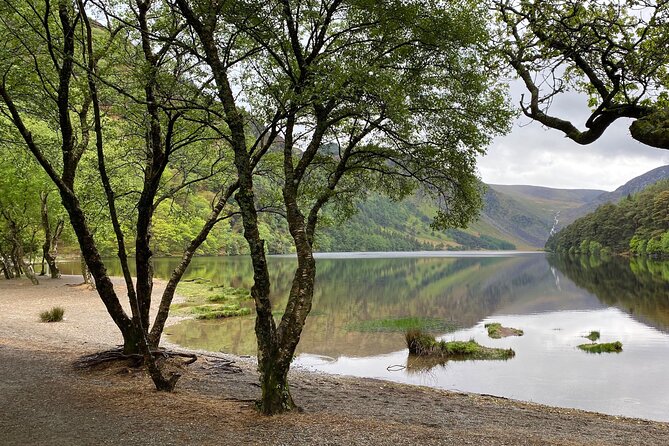 Day Tour from Dublin: Wicklow Mountains, Glendalough, Powerscourt - The 121-Meter Powerscourt Waterfall Stop: Dramatic Without Being Hard