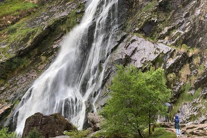 Day Tour from Dublin: Wicklow Mountains, Glendalough, Powerscourt - How to Plan Your Day: Timing, Comfort, and Weather Reality