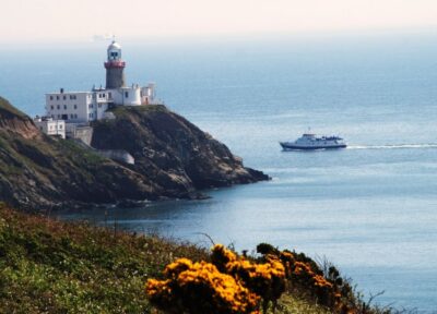 Dublin Bay: Cruise from the City Centre to Dun Laoghaire - Live Commentary That Helps You Read the Bay