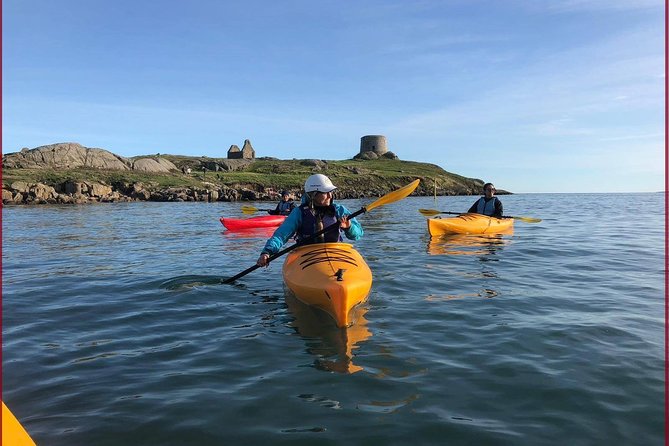 Dublin Bay Seal Kayaking Safari at Dalkey - 1) Why this Dalkey seal safari feels different