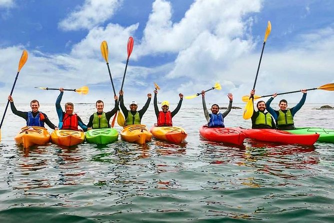Dublin Bay Seal Kayaking Safari at Dalkey - 7) Meeting the seals: close, but respectful