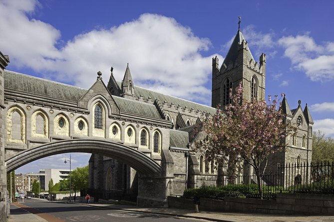 Dublin Christ Church Cathedral Admission Ticket - Cathedral rules that can trip you up if you forget