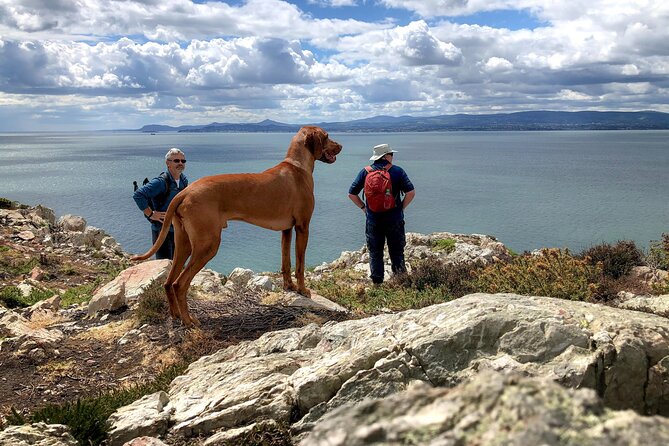Dublin Coastal Hike with Howth Adventures - Entering Howth at 11:00: Meeting Point and First Vibes