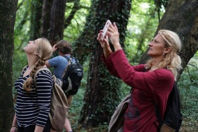 Dublin Coastal Hike with Howth Adventures - Howth Market to Harbour Wildlife: Seals, Boats, and Real Port Atmosphere