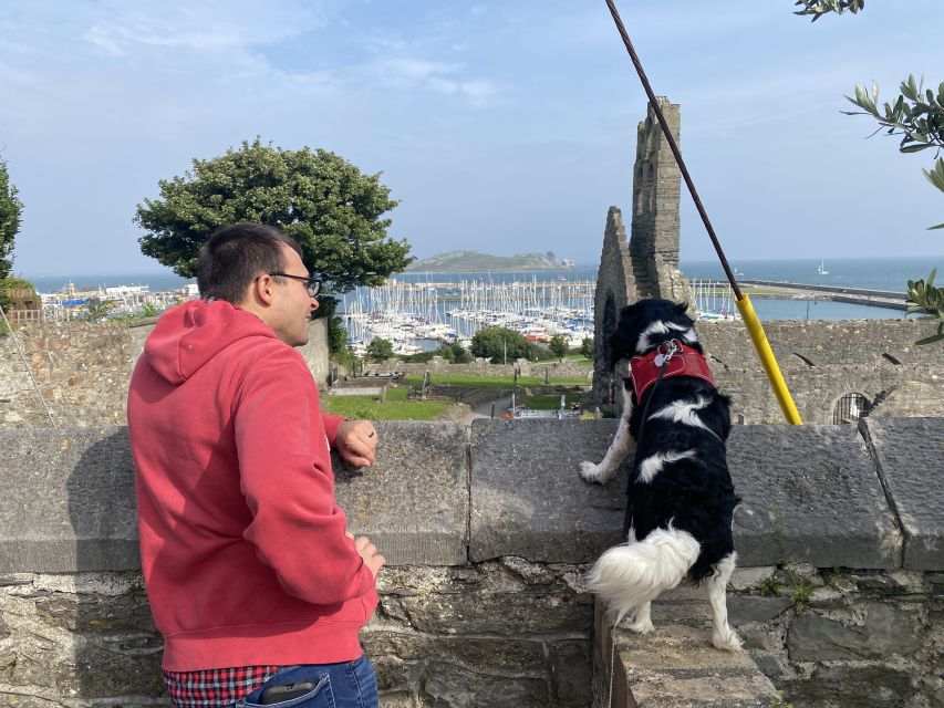 Dublin: Dublin Coastal Hike and Pints & Puppies - The 700-Year-Old Castle Stop and the Stories That Stick