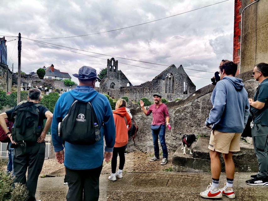 Dublin: Dublin Coastal Hike and Pints & Puppies - Price and Value: Does $53 Make Sense for 3.5 Hours?