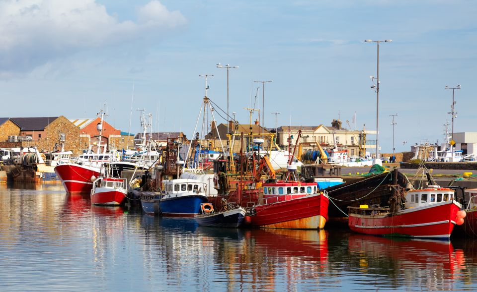Dublin: Full-Day Howth and Malahide Castle Tour - Casino Marino: a 15-minute curiosity with strong photo potential