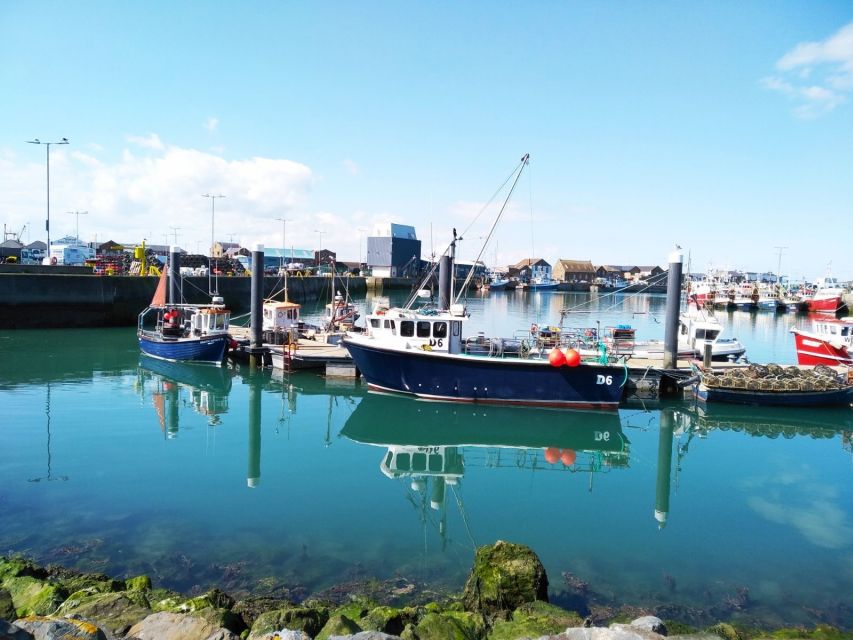 Dublin: Full-Day Howth and Malahide Castle Tour - Howth fishermen’s village: lunch time plus harbor drama