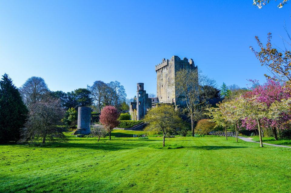 Dublin: Full-Day Tour to Cork, Cobh and Blarney Castle - Cork City in a short window: Georgian streets and artsy south-city energy