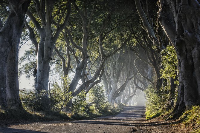 Dublin: Giant's Causeway, Dark Hedges, Dunluce and Belfast Titanic entrance fee - My value check: is it worth it versus doing it on your own?