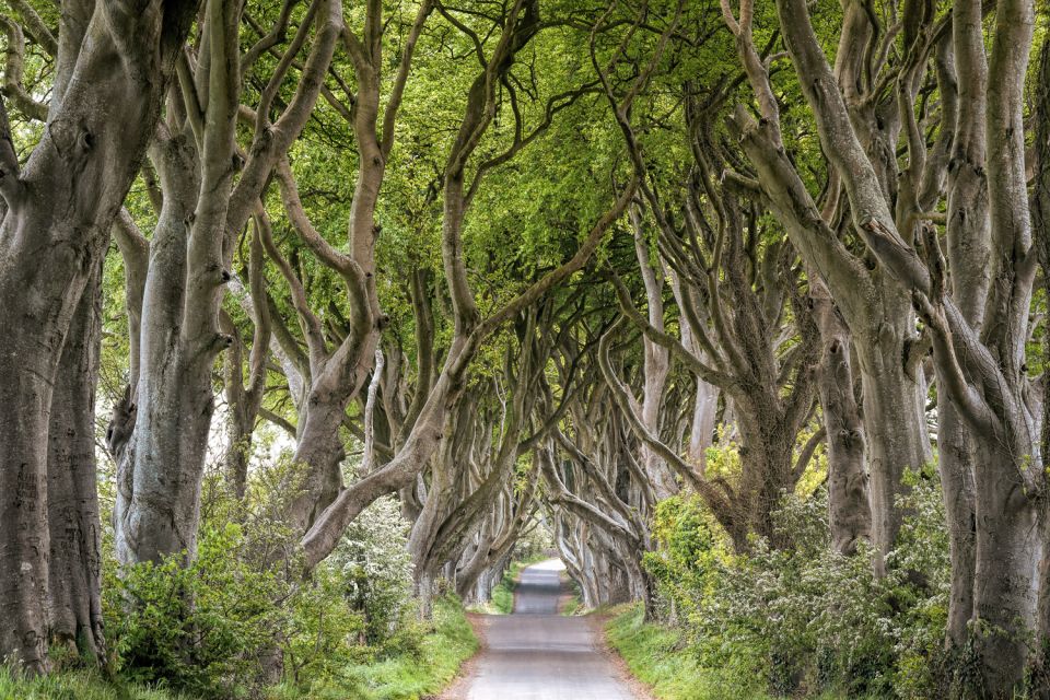Dublin: Giants Causeway, Dark Hedges, Dunluce & Belfast Tour - Key Things I’d Prioritize on This Tour