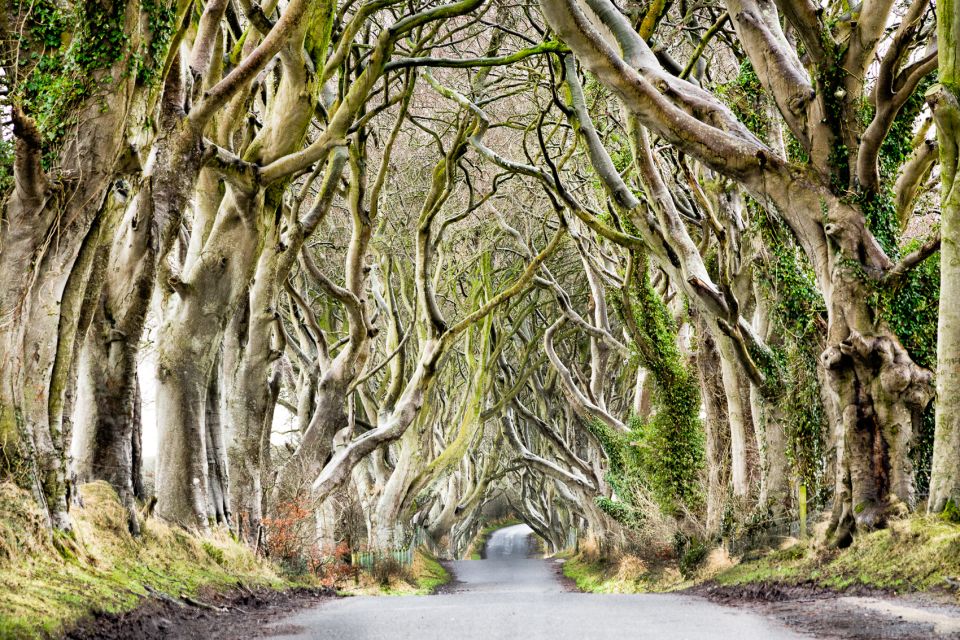 Dublin: Giants Causeway, Dark Hedges, Dunluce & Belfast Tour - The Causeway Coastal Drive: Dramatic Roads Between Stops
