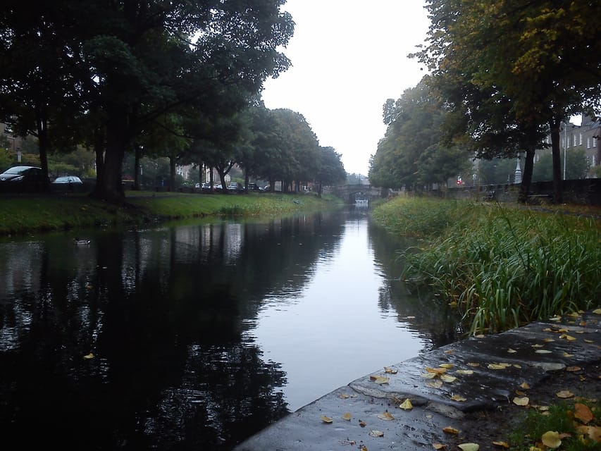 Dublin: Grand Canal Cruise with Dinner - Drinks and bar service: included wine or beer, plus a full bar for anything beyond that
