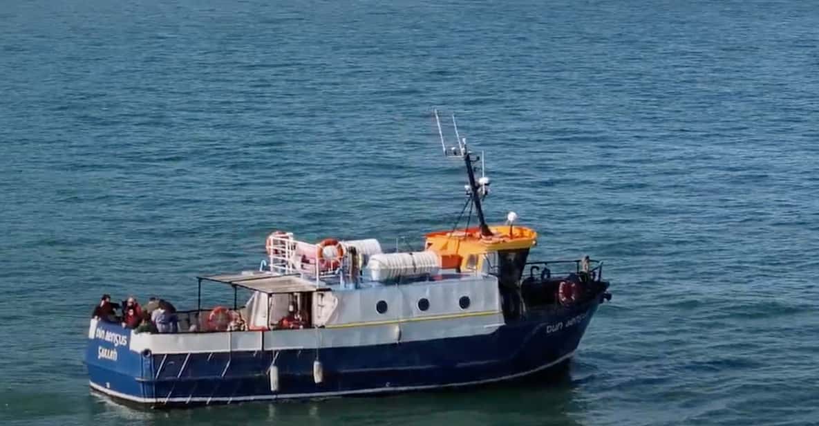 Dublin: Howth Cliffs and Lighthouse Boat Tour - West Pier Start: Getting Onboard Without Stress