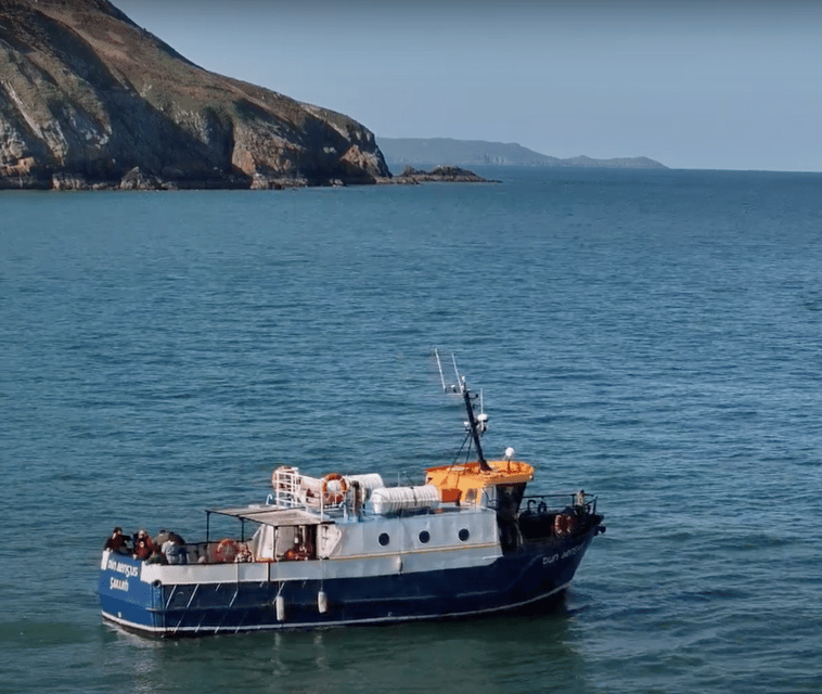 Dublin: Howth Cliffs and Lighthouse Boat Tour - Wildlife in Dublin Bay Biosphere: Seals and Seabirds Up Close