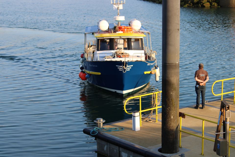 Dublin: Howth Cliffs and Lighthouse Cruise - Key highlights worth your attention