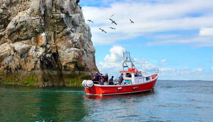 Dublin: Howth Coastal Boat Tour - Key Things You’ll Notice On This Howth Coastal Boat Tour