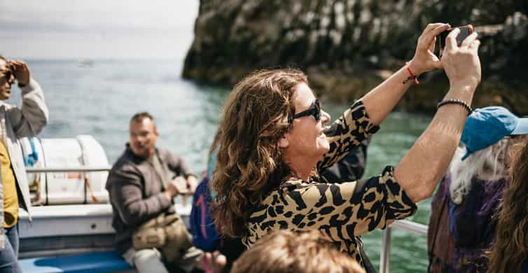 Dublin: Howth Coastal Boat Tour - The 50-minute cruise: what happens once you leave Howth Harbour