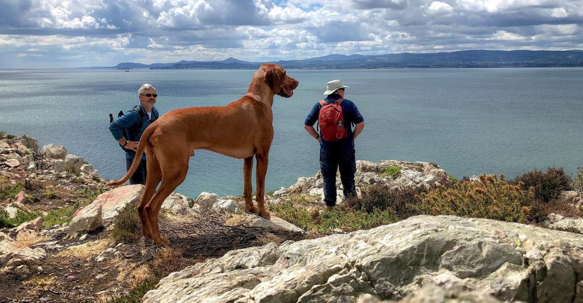 Dublin: Howth Coastal Hiking Tour - Stop-by-Stop: What You’ll See and Why It Works