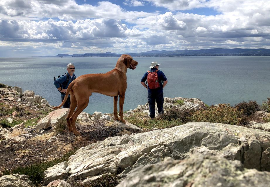 Dublin: Howth Coastal Hiking Tour - Where You Start: Howth Market at 12:00 (and Why That’s Handy)