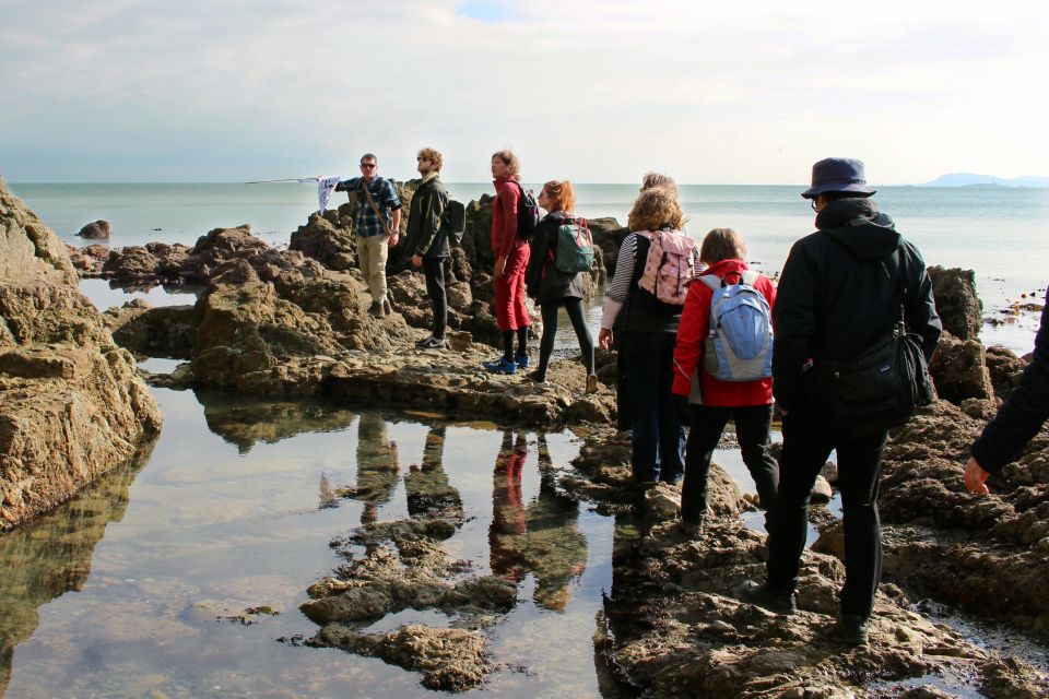 Dublin: Howth Safari Hiking Tour - Doldrum Beach: a pause that turns snack time into mini-holiday mode