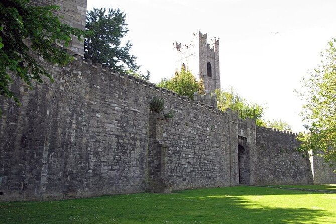 Dublin Private Medieval Walking Tour - The Liberties: Where Old Brick Meets Daily Life