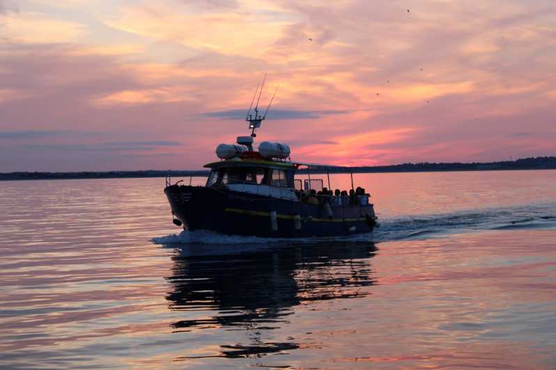 Dublin: Sunset Cruise in Howth - Key highlights to know before you go