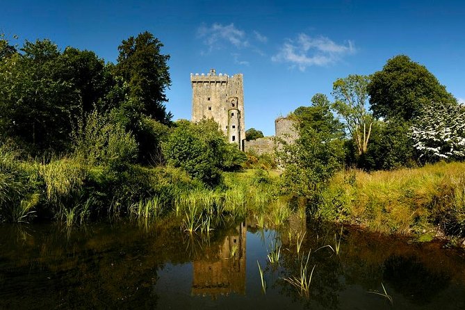 Dublin to Rock of Cashel, Cork City & Blarney Castle Guided Tour - Who should book this Blarney–Cashel–Cork day trip