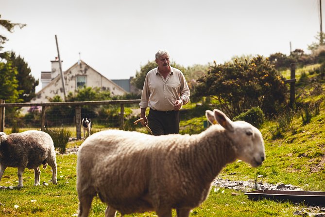 Dublin to South West 5 Day Small-Group Tour with Accommodation - Key highlights worth planning around