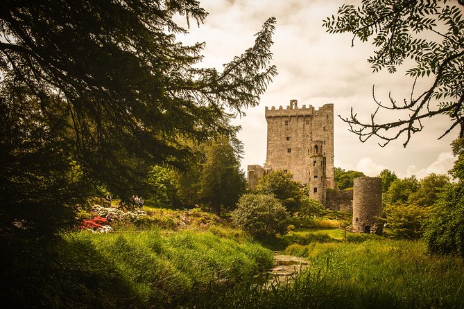 Dublin to South West 5 Day Small-Group Tour with Accommodation - Day 5: Blarney Stone, Kinsale lunch, and the Rock of Cashel finale
