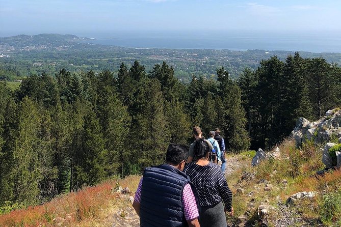 Dublin to Wicklow, Glendalough Small Group Tour with Guided Walk - Who Should Book This Wicklow and Glendalough Walk (and Who Might Not)