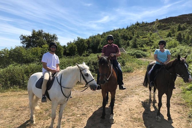 Dublin to Wicklow, Glendalough Small Group Tour with Horse Riding - From Dublin pickup to Wicklow rhythm: small group logistics that work