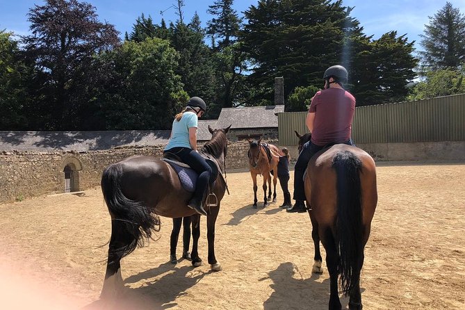 Dublin to Wicklow, Glendalough Small Group Tour with Horse Riding - Price and value: why $151.16 can feel fair