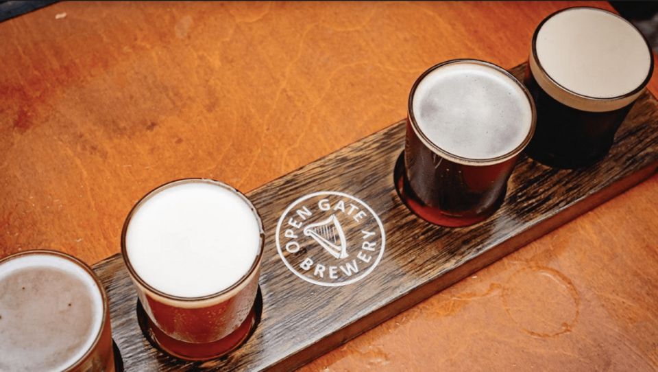Dublin: Traditional Pubs Walking Tour with Local Guide - Practical planning tips before you go